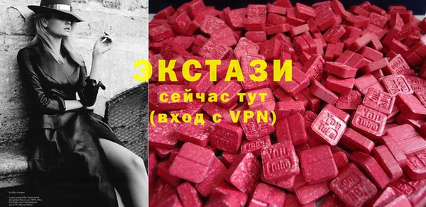 стаф Алексин