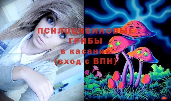 прущая мука Алзамай