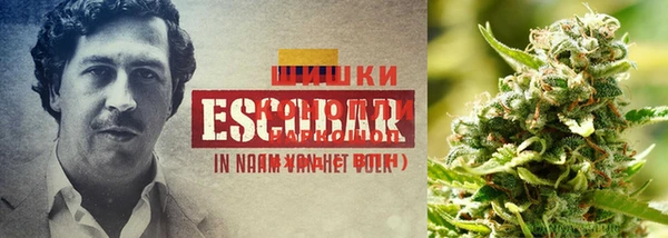 гидропоника Алексеевка