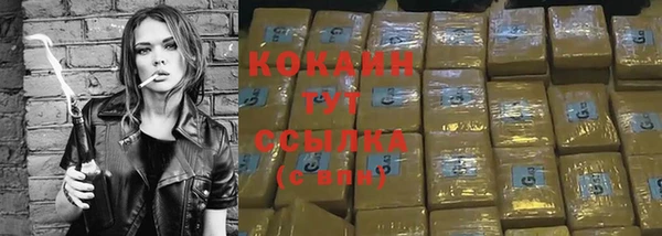 стаф Алексин