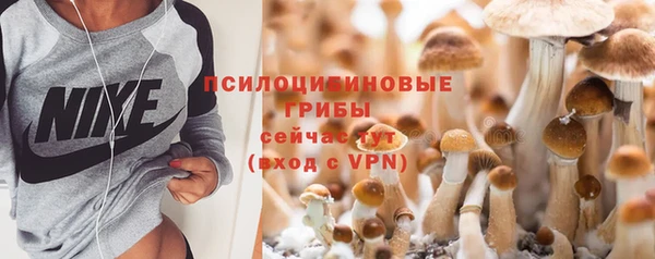 стаф Алексин