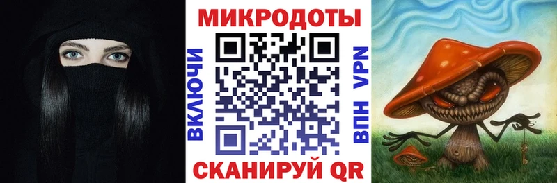 как найти закладки Сясьстрой Галлюциногенные грибы MAGIC MUSHROOMS